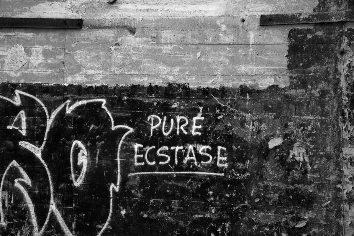 PureEcstase.jpg