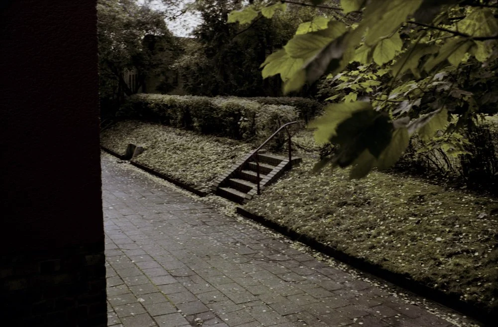 from series OUT OF LOVE