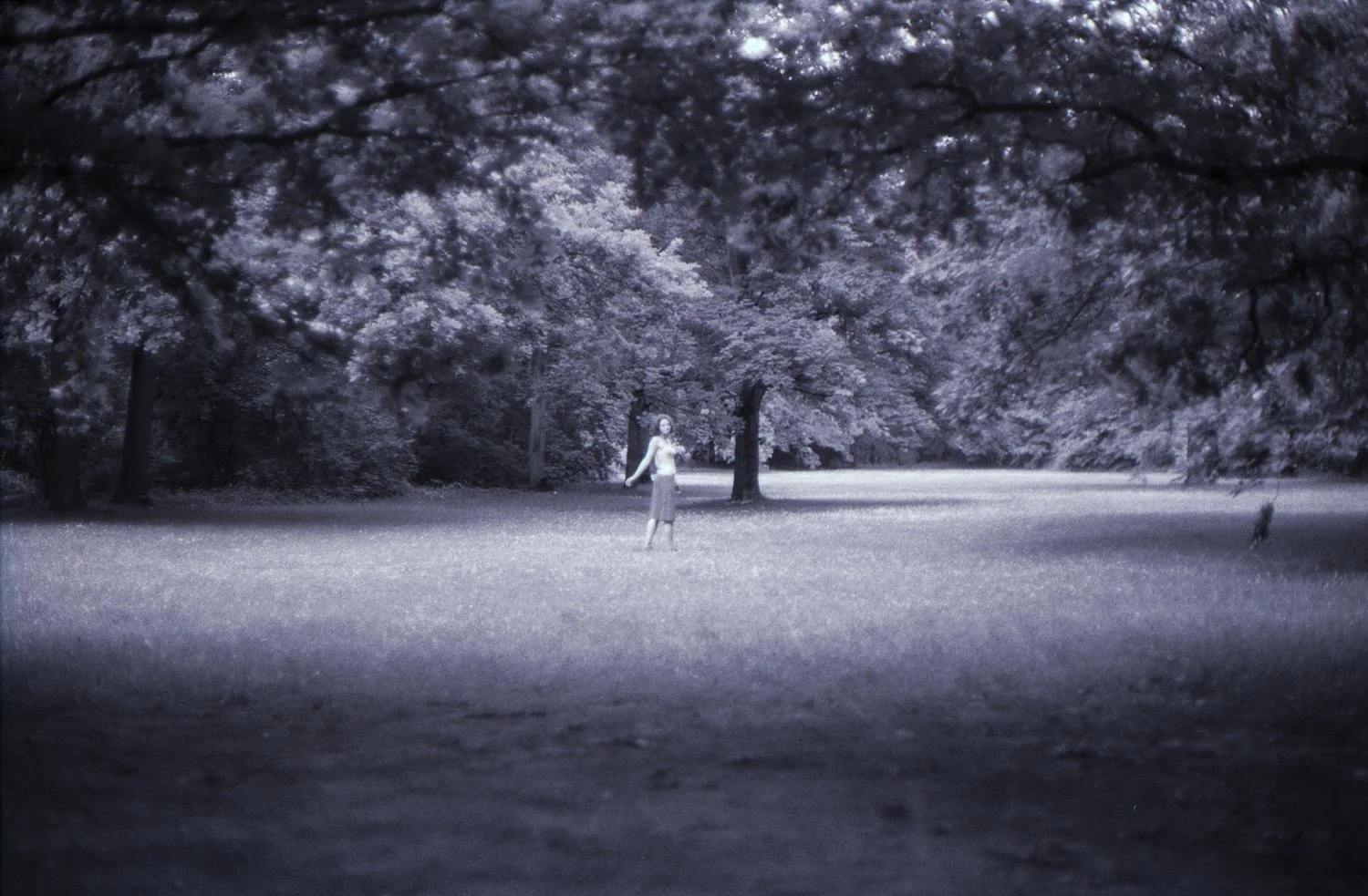 dance (in the park) six-piece