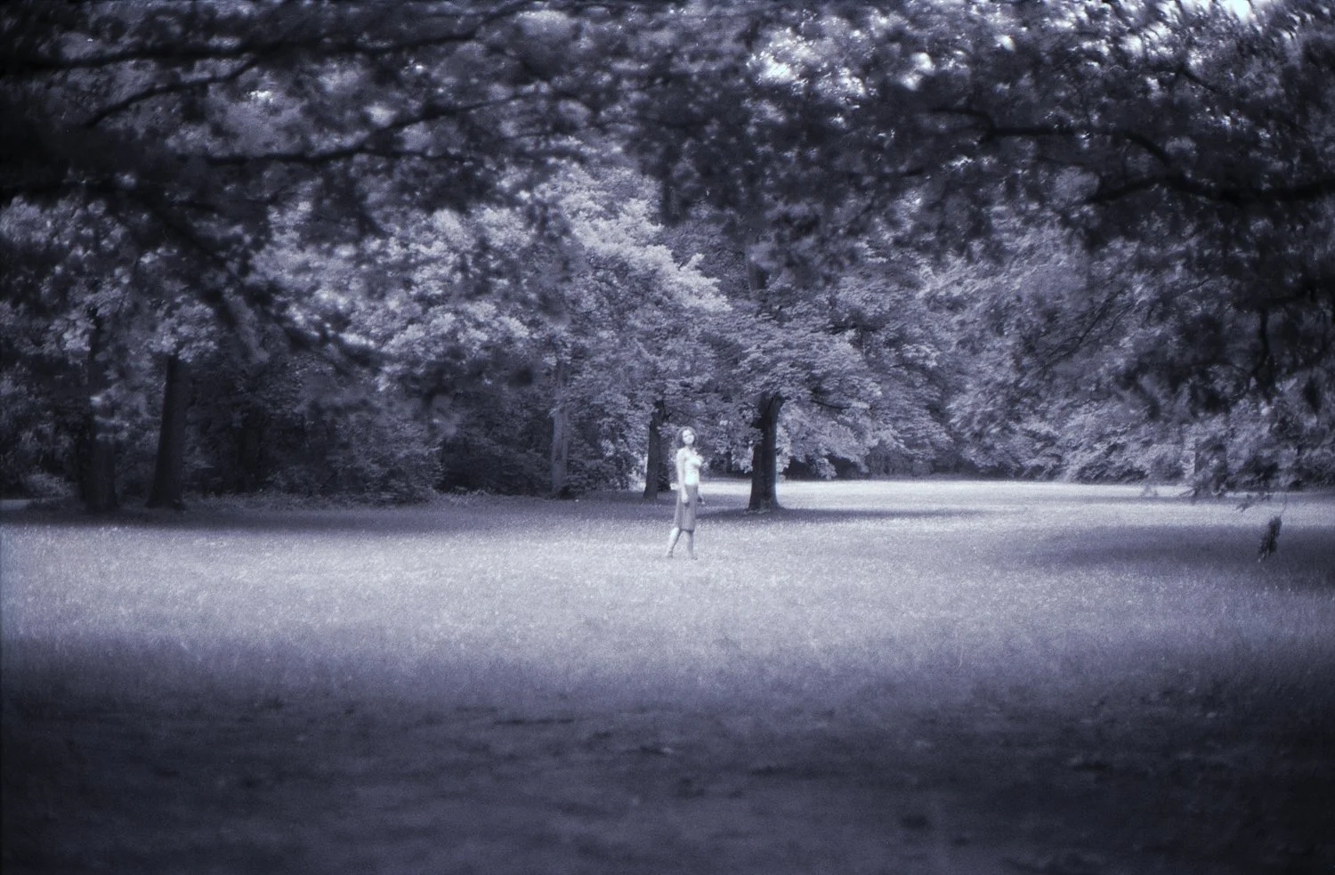 dance (in the park)