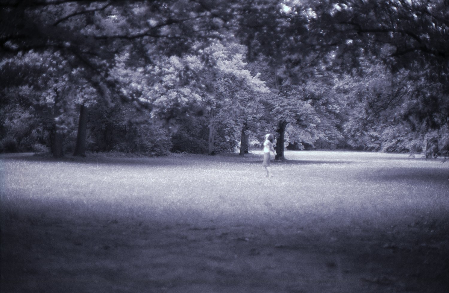 dance (in the park)