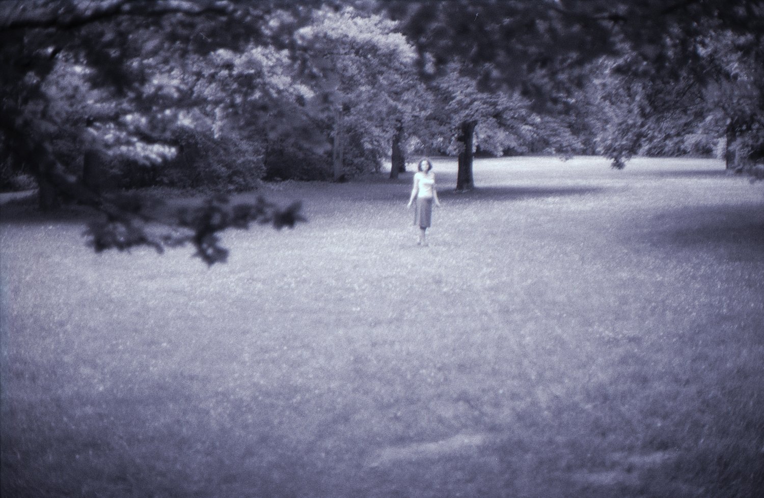 dance (in the park)