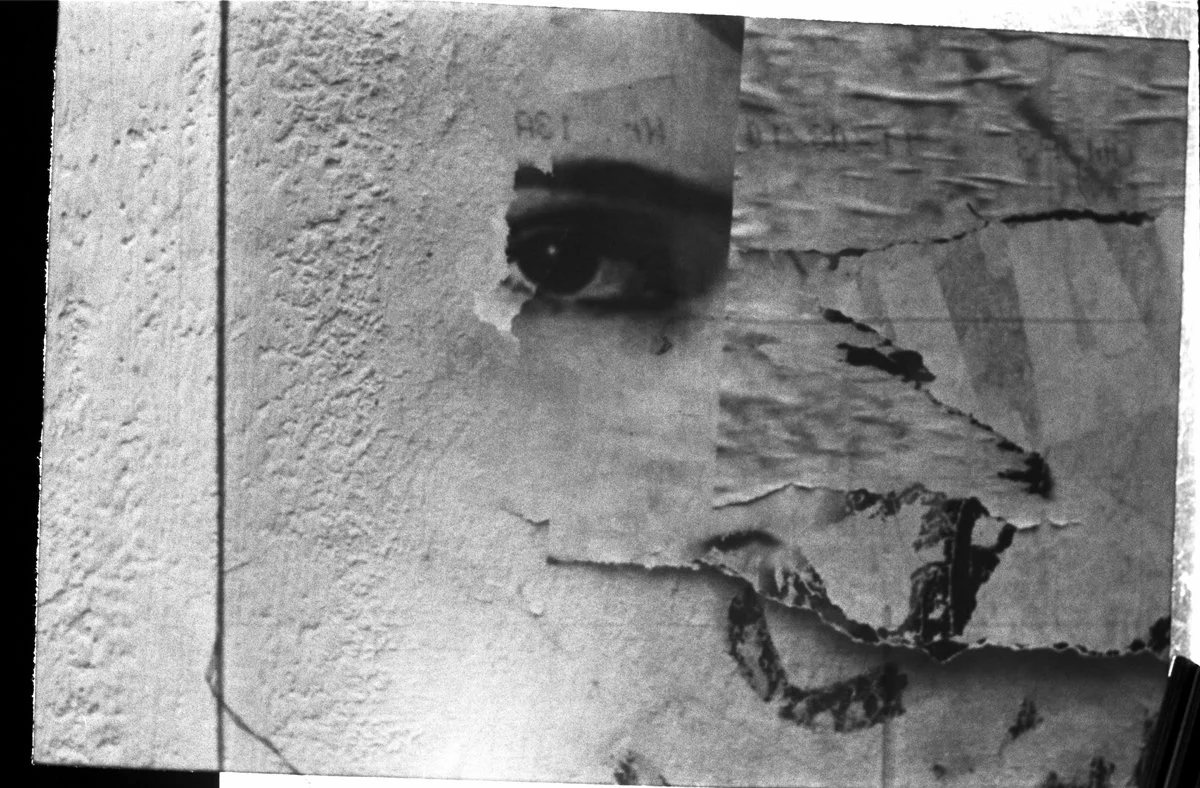 auge2.jpg
