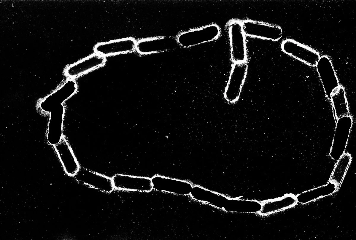 BrokenChain.jpg