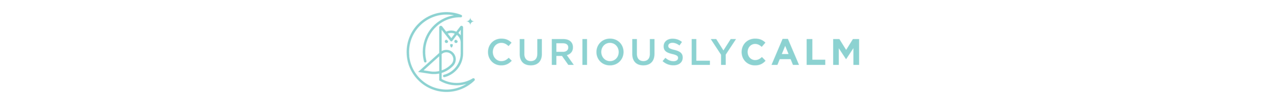 CC_long_teal_clear banner.png