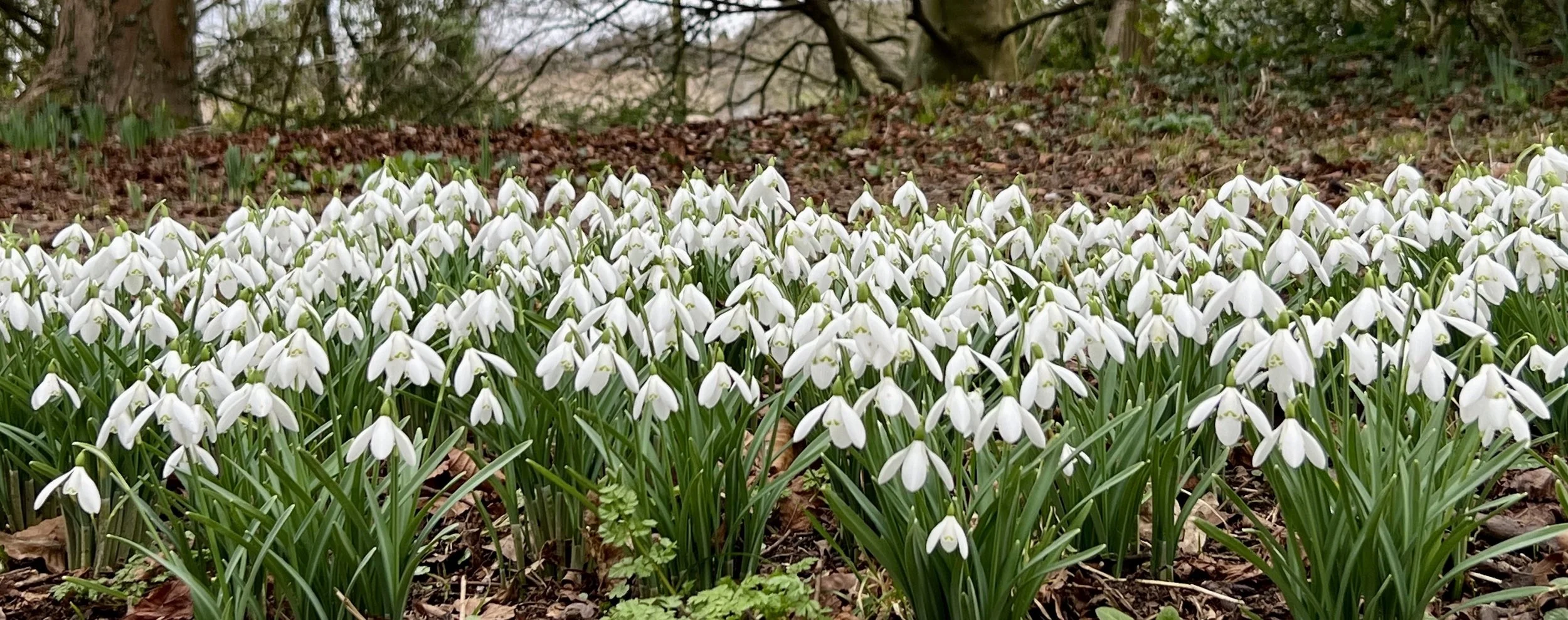 The Power of Doing Nothing - A Guided Meditation