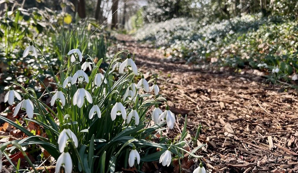 Spring Equinox Meditation - Exploring Opposites