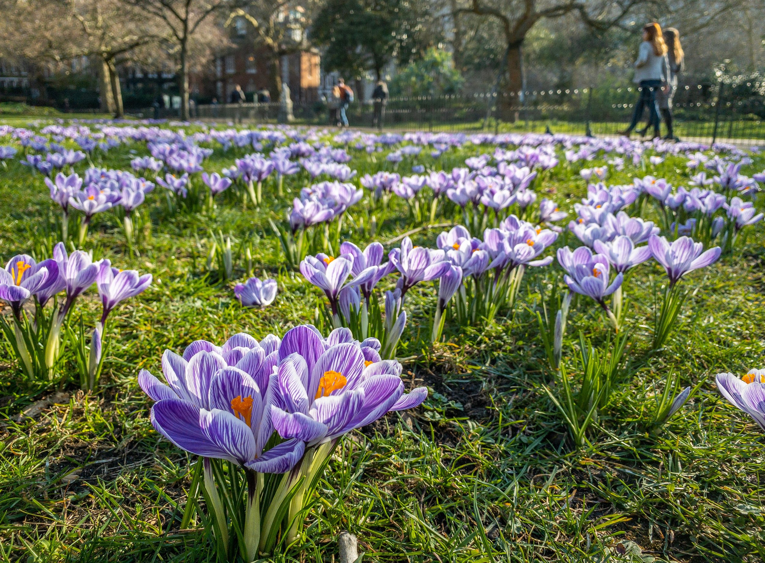 Photo by Nicholas Doherty on Unsplash