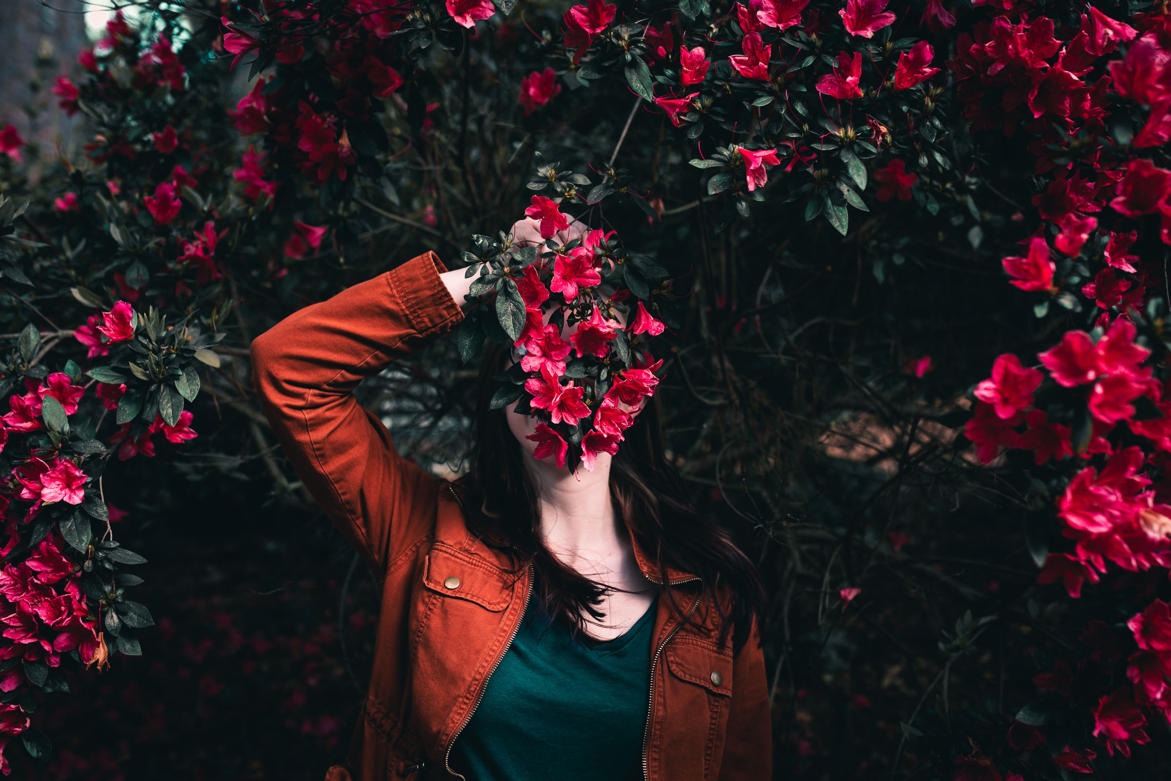 Photo by Kyle Sudu on Unsplash