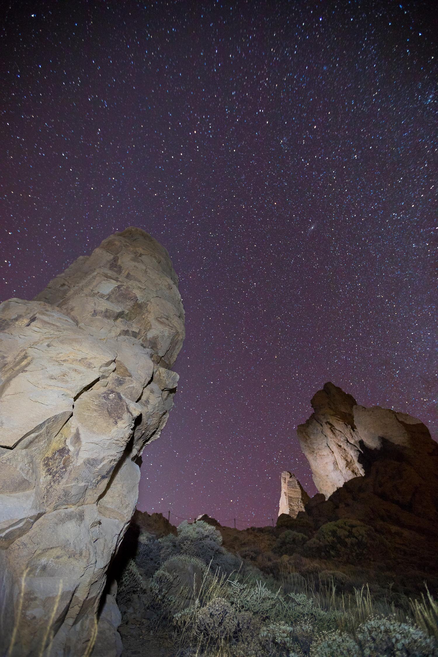  Picture of stars with rocks lit in the foreground     