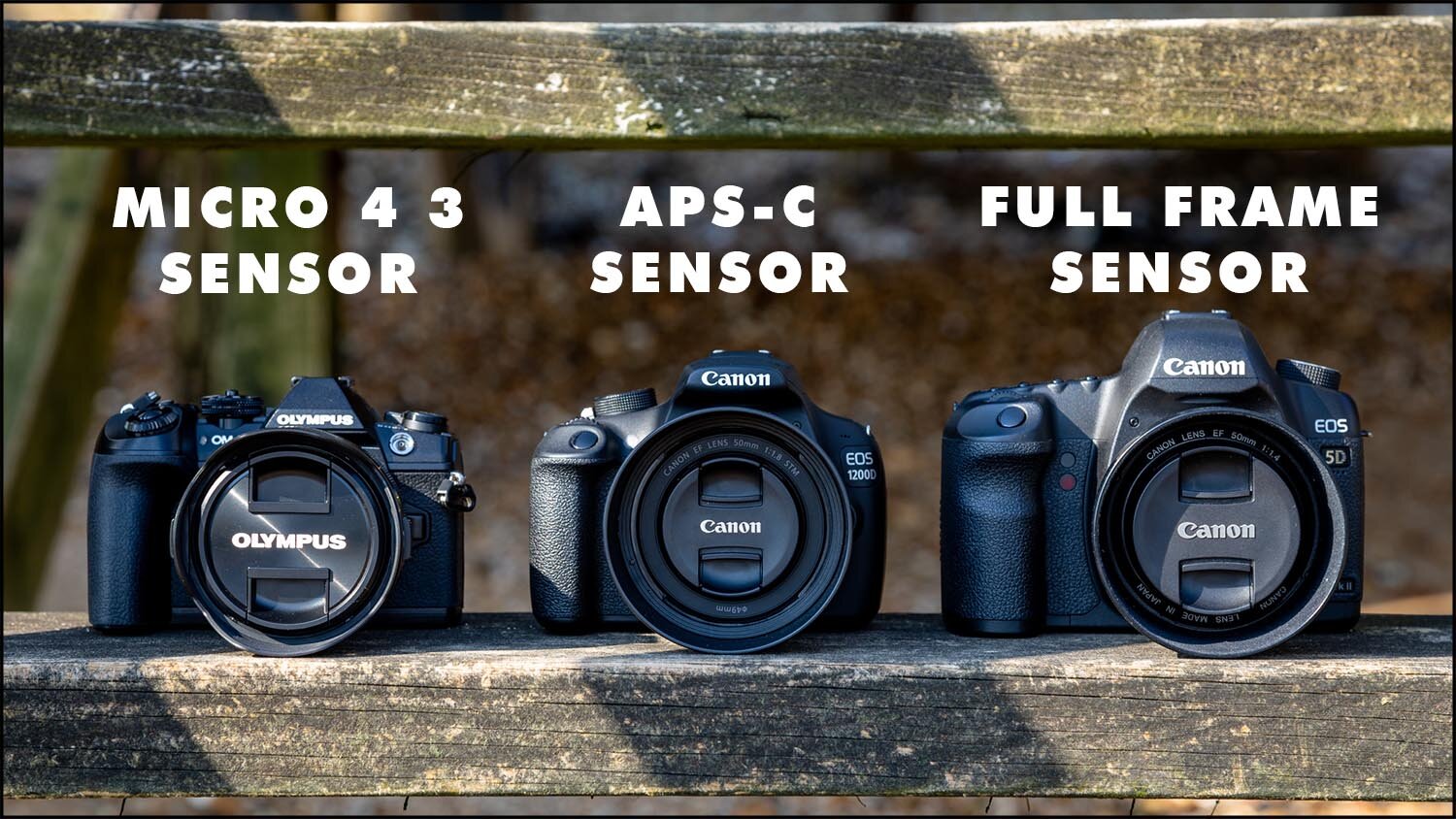 point and shoot with aps c sensor