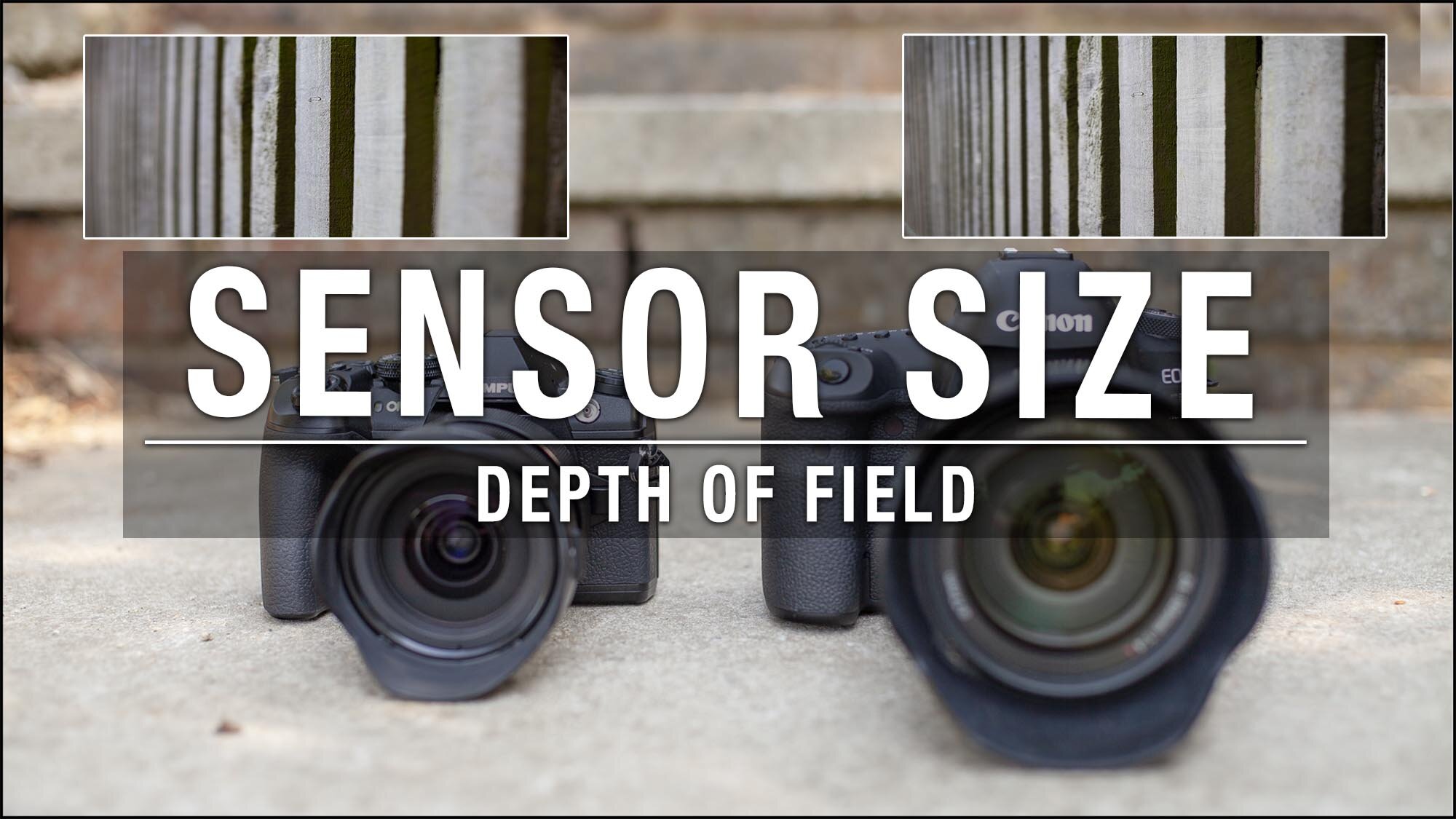 Camera Sensor Size Comparison Which One Is Right For You The Camera Sensor Size Comparison Which One Is Right For You The