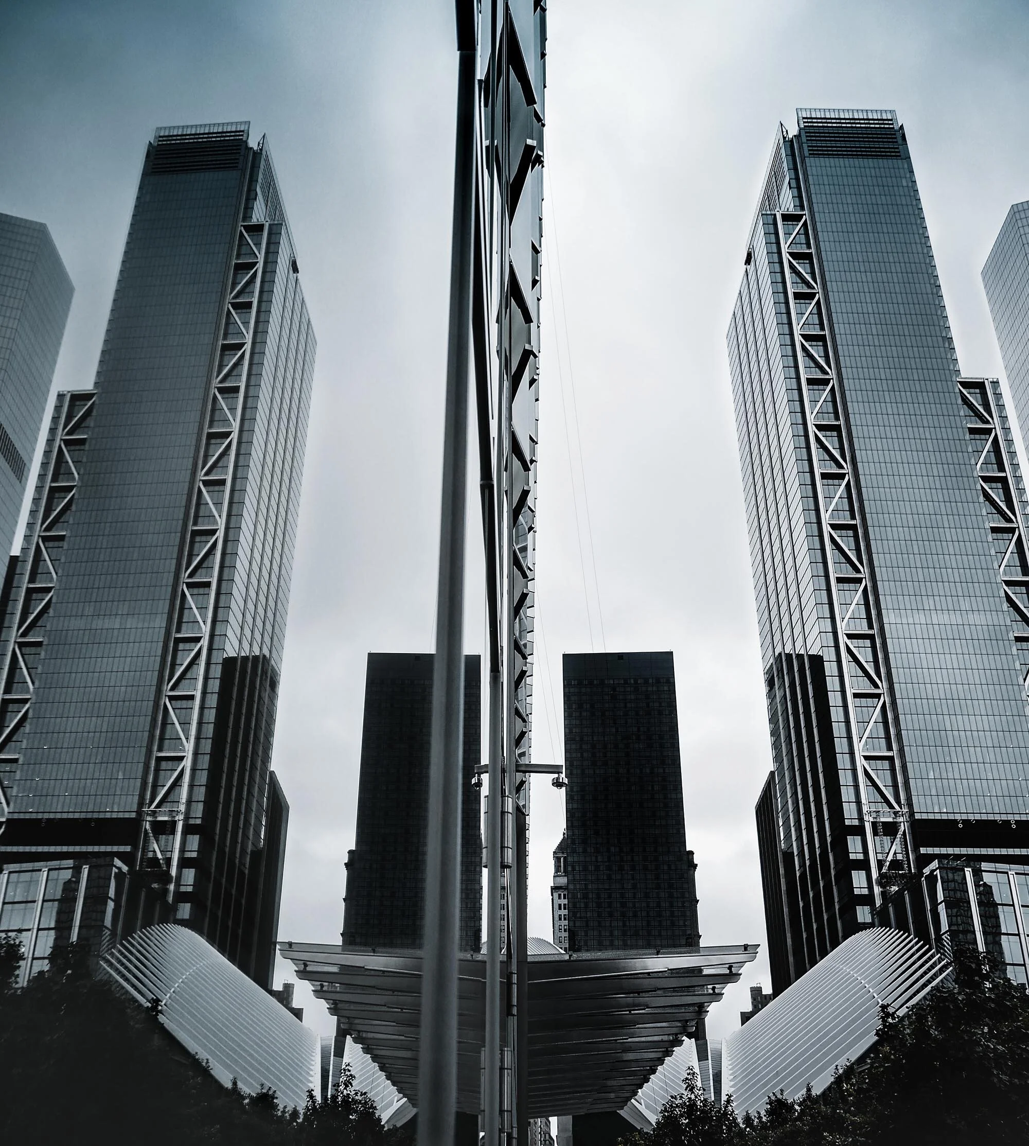 Reflective Symmetry by @juliusdrost unsplash.com