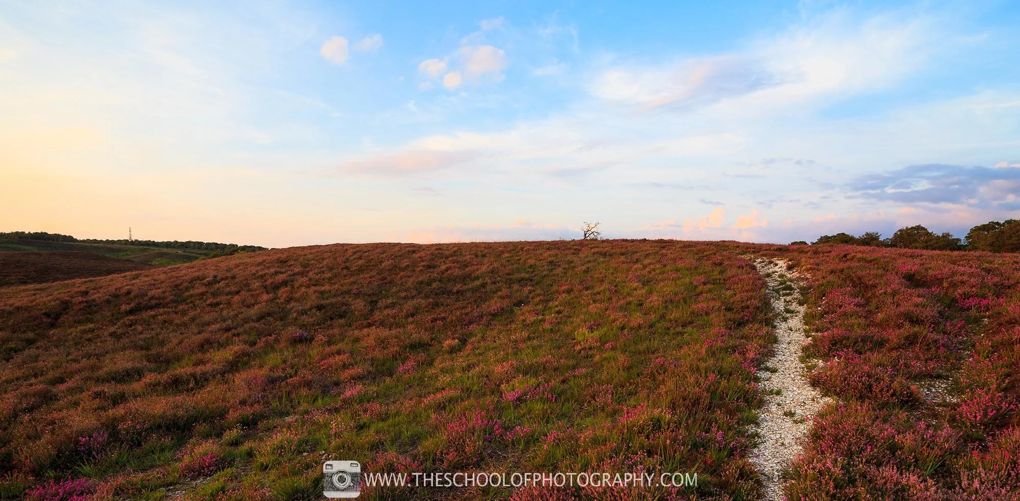 Exposed for the foreground - Camera Settings: 16mm Focal Length - 1/10th Second - f/11 - ISO 100