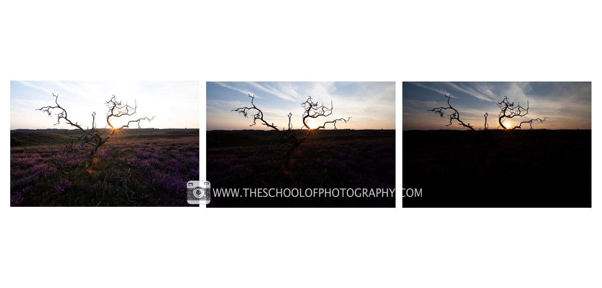 3 bracketed landscape photographs