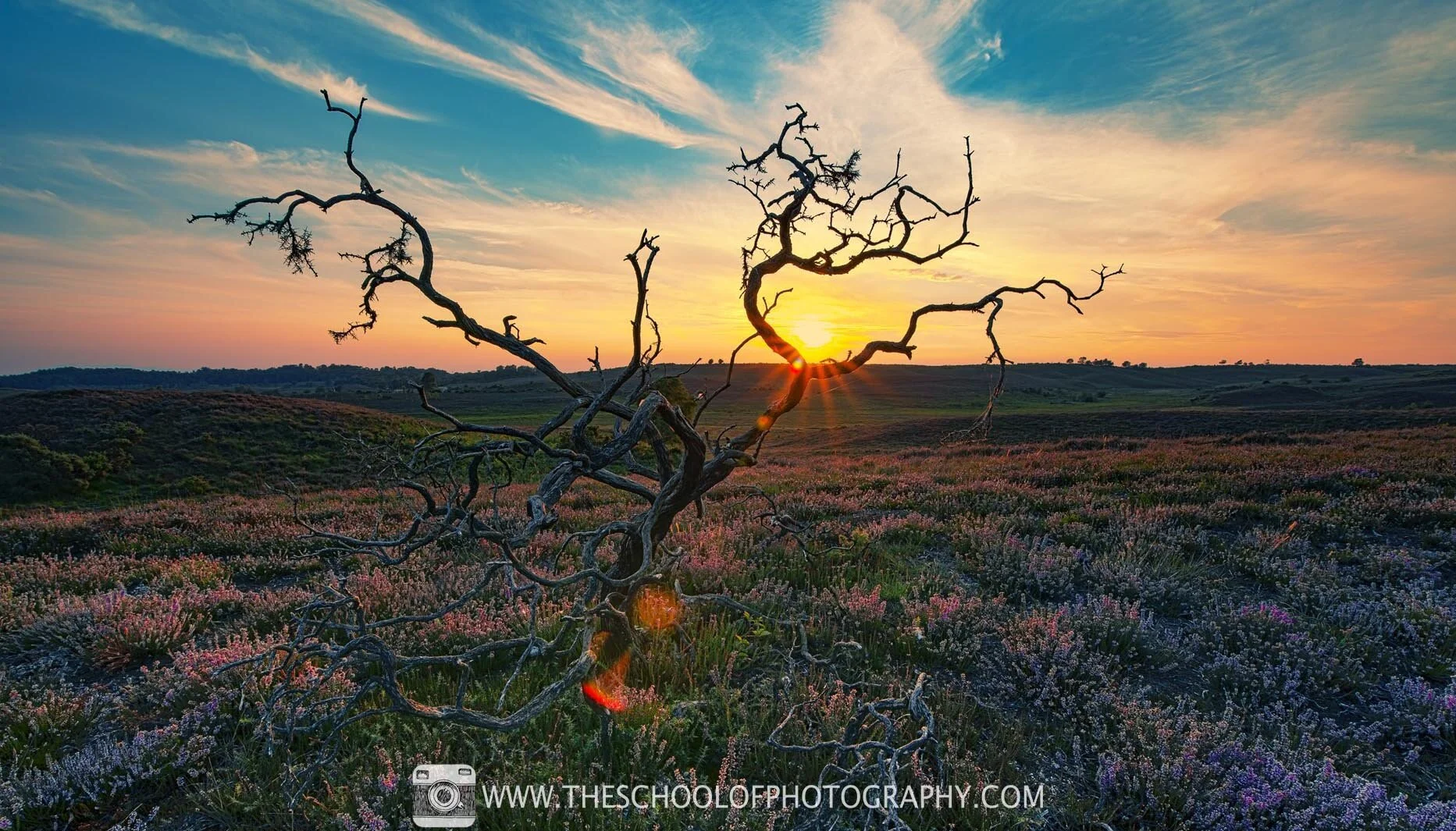 Merged pictures showing an example of HDR sunset photography