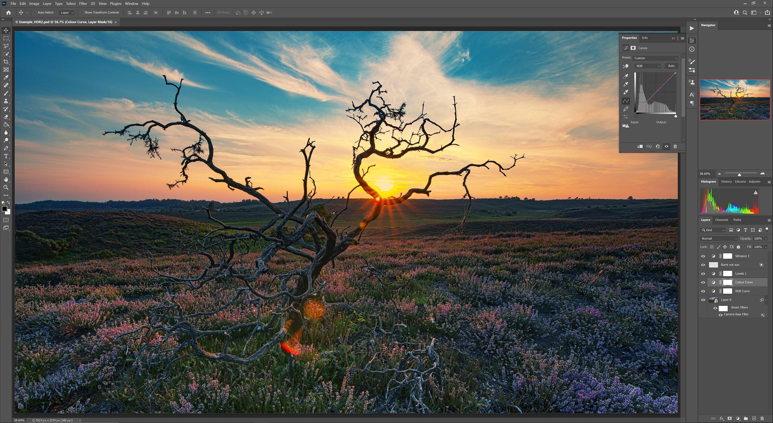 How to make a picture look professional in Photoshop