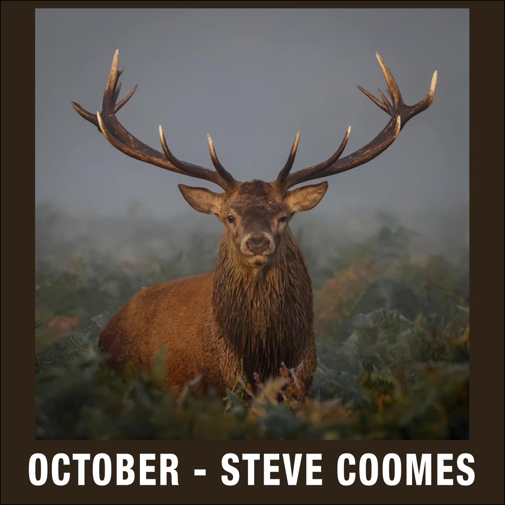 10 - October - Steve Coomes.jpg