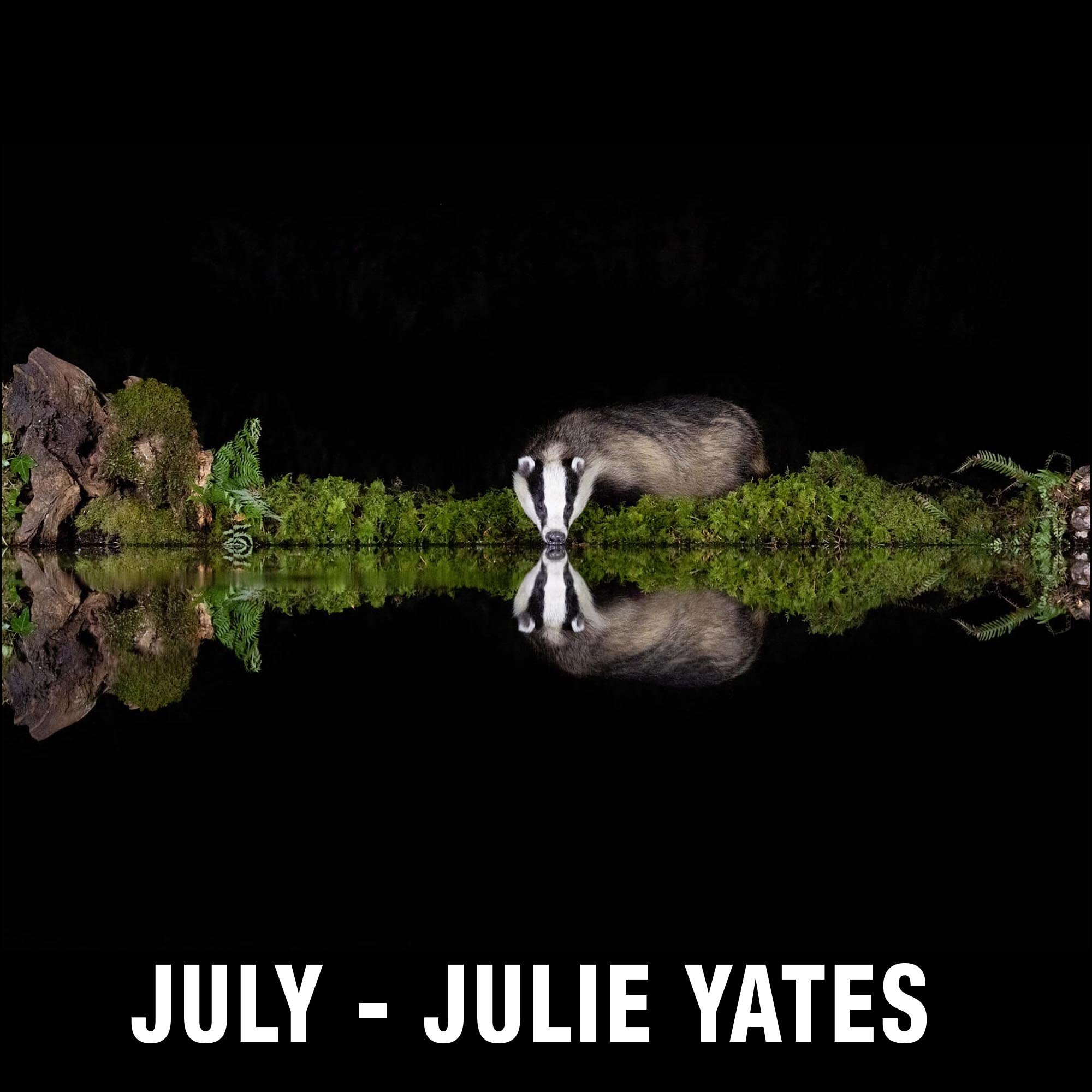 7 - July - Julie Yates.jpg