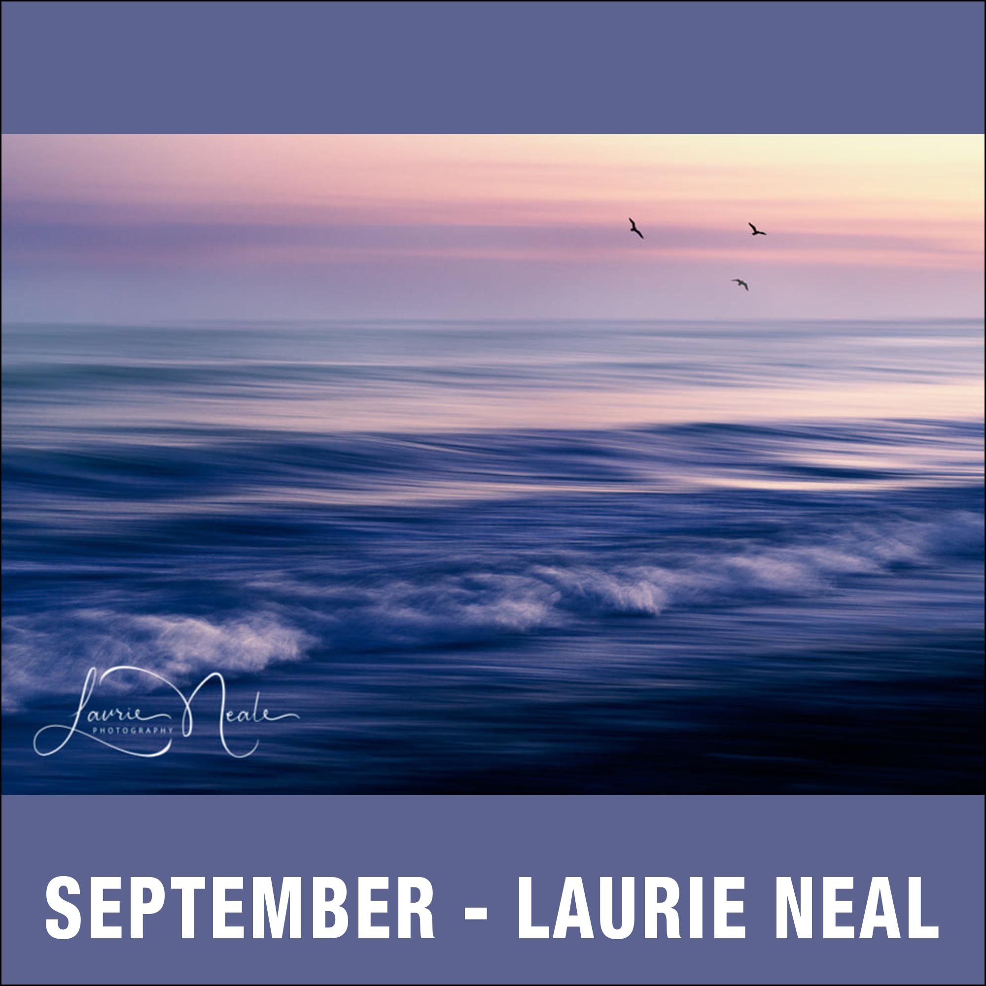9 - September - Laurie Neal.jpg