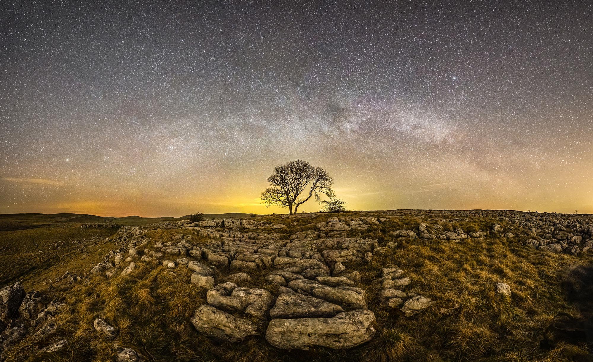 Malham Tree Arch_2000px-60.jpg