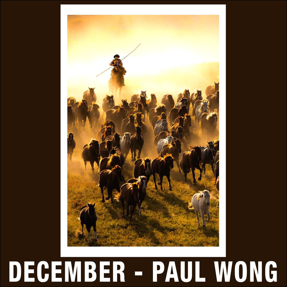 12 - December - Paul Wong.jpg