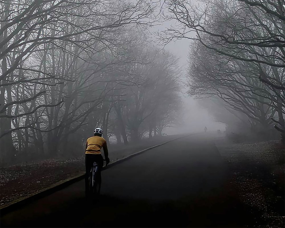 I'm riding a bike in the fog.jpg