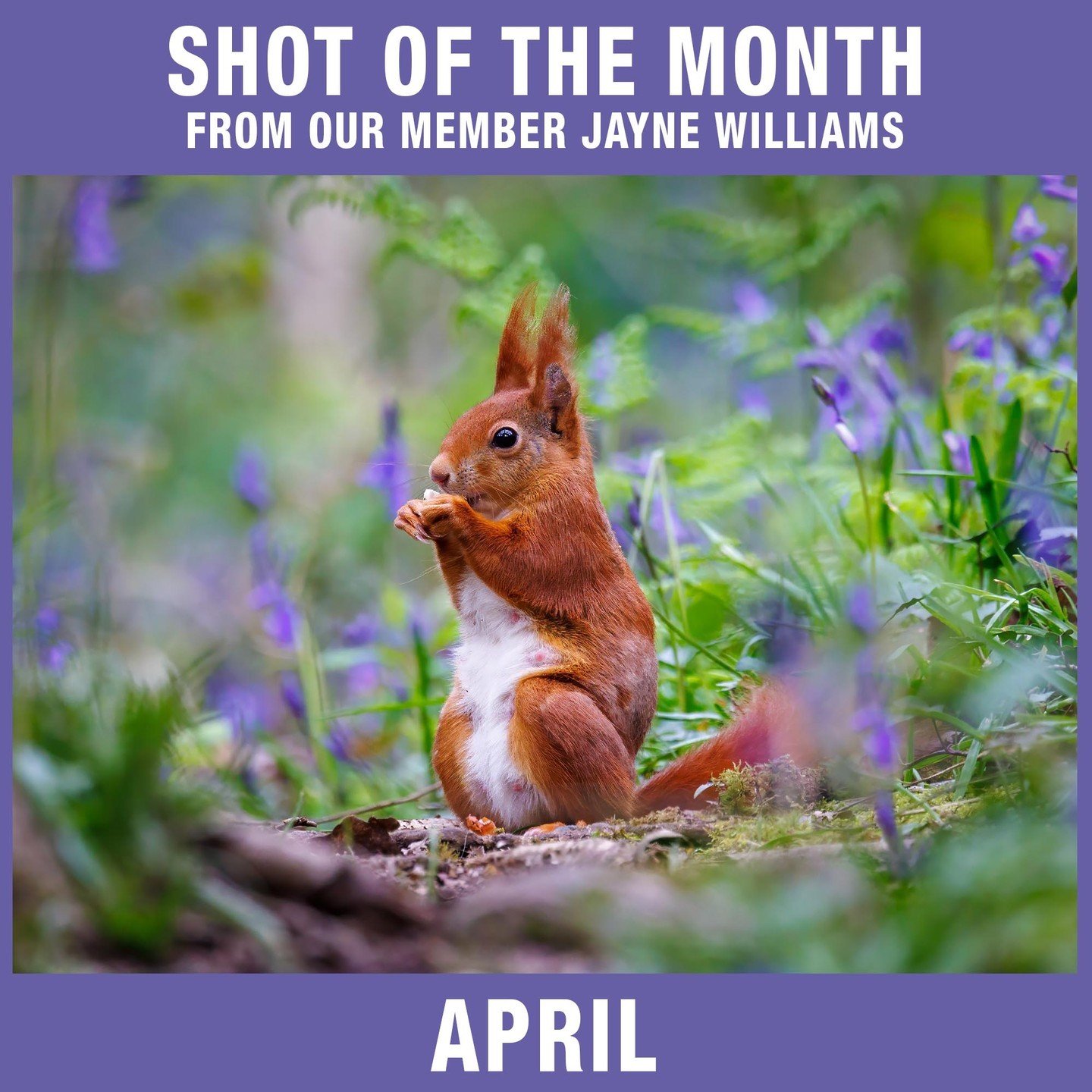 Well done to our member Jayne Williams @wmsjayne for winning April's Shot of The Month! 👏 📸

f/7.1 - 1/500 sec - ISO 2000

Jayne writes, &quot;Popped out this morning to see what I could find before the rain came down. So very lucky to spy this gor