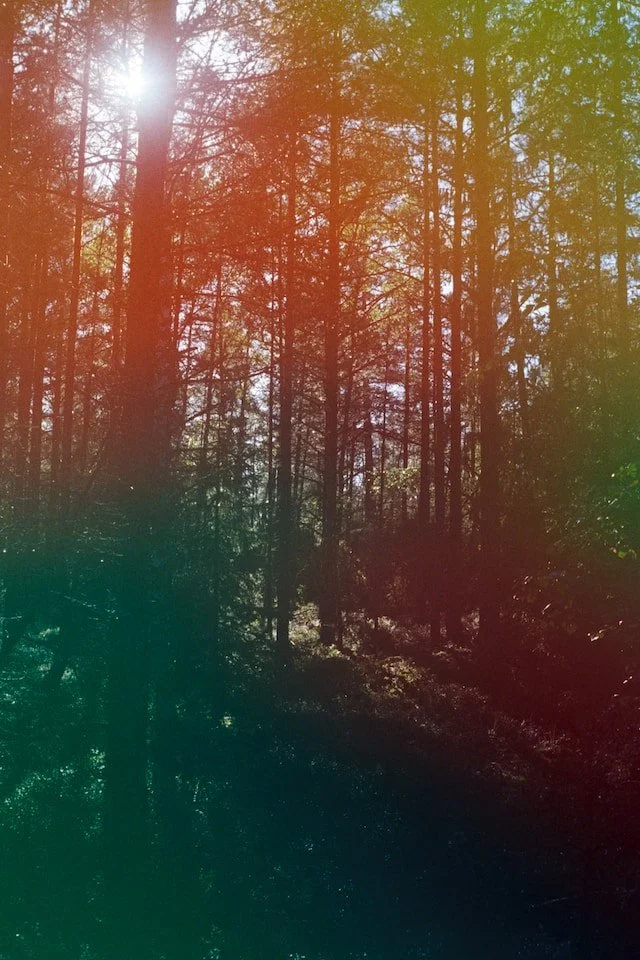 How To Create Light Leak Photography Plus 30 FREE Preset Overlays — The School of Photography