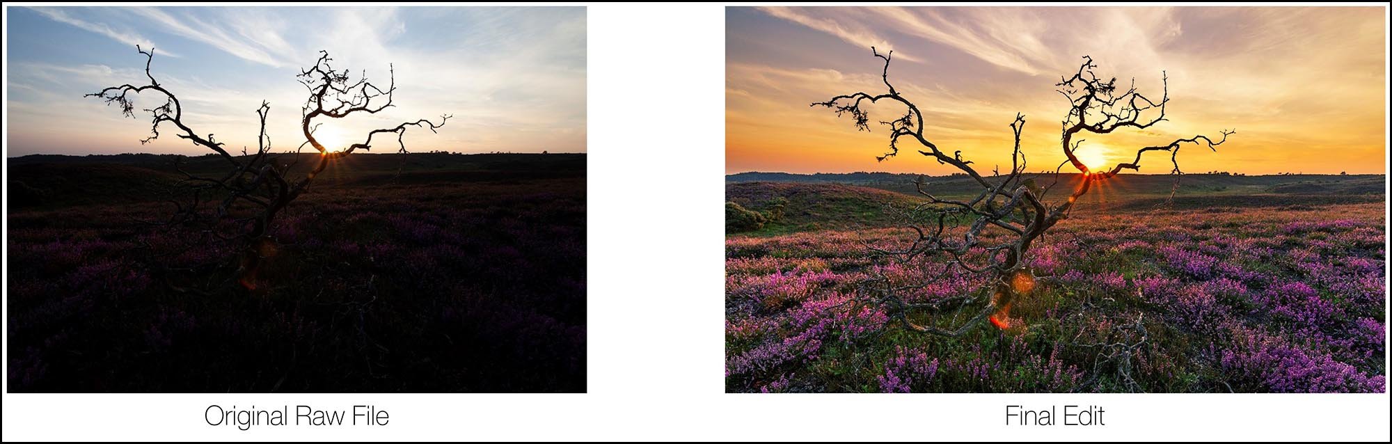 photoshop tutorials layers Example of using Curves Adjustment Layers in Photoshop