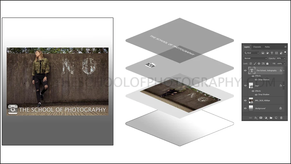 Layers in Ultimate Guide for Beginners — The School of