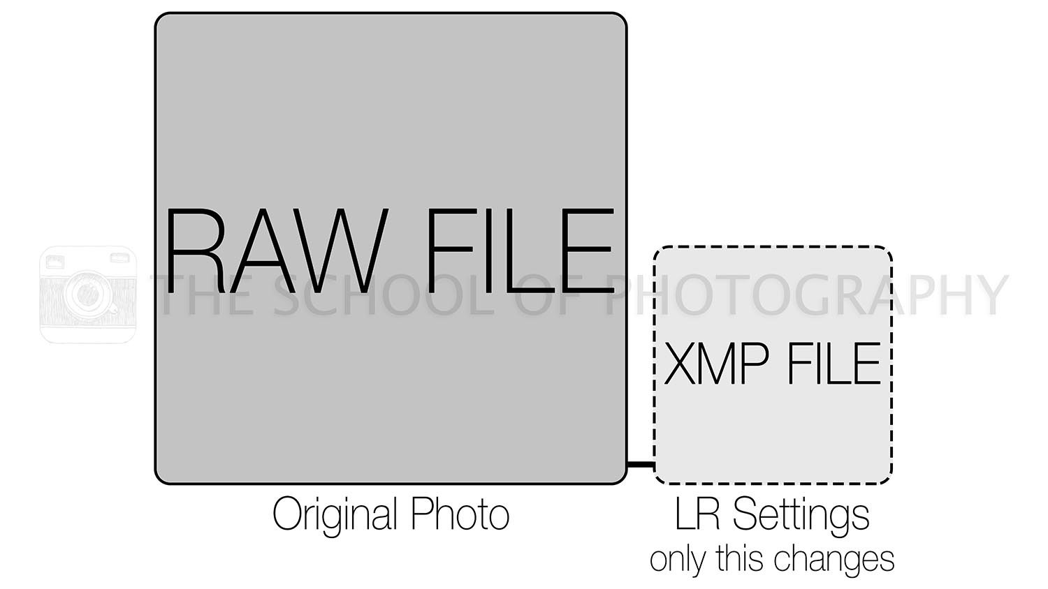 DNG vs RAW What, Why, and should you convert? — The School of Photography Courses, Tutorials