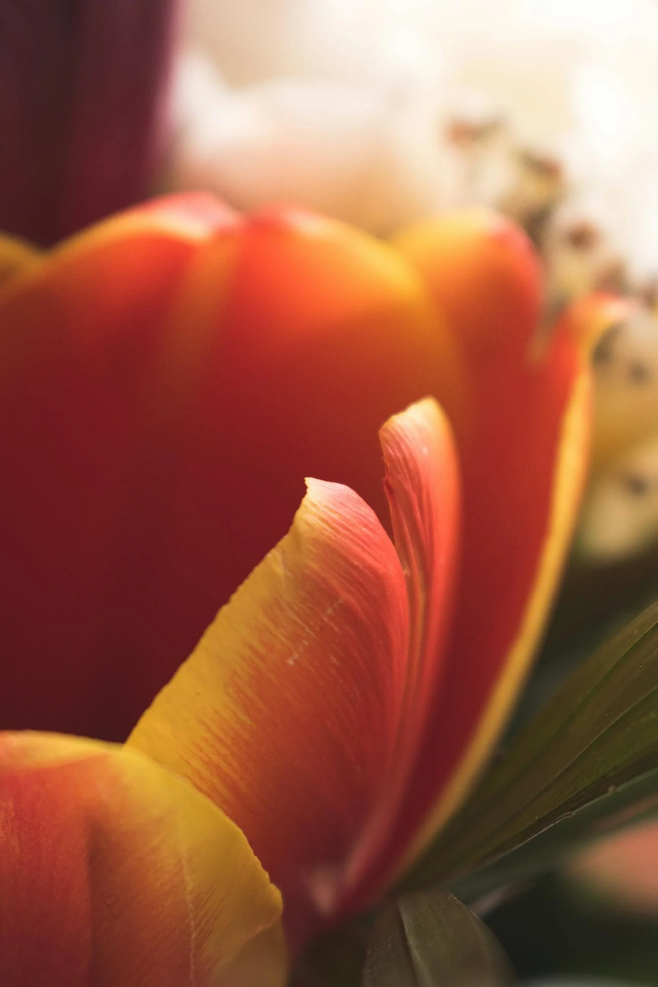 Photography Ideas Weekly Challenges To Keep You Creative The School