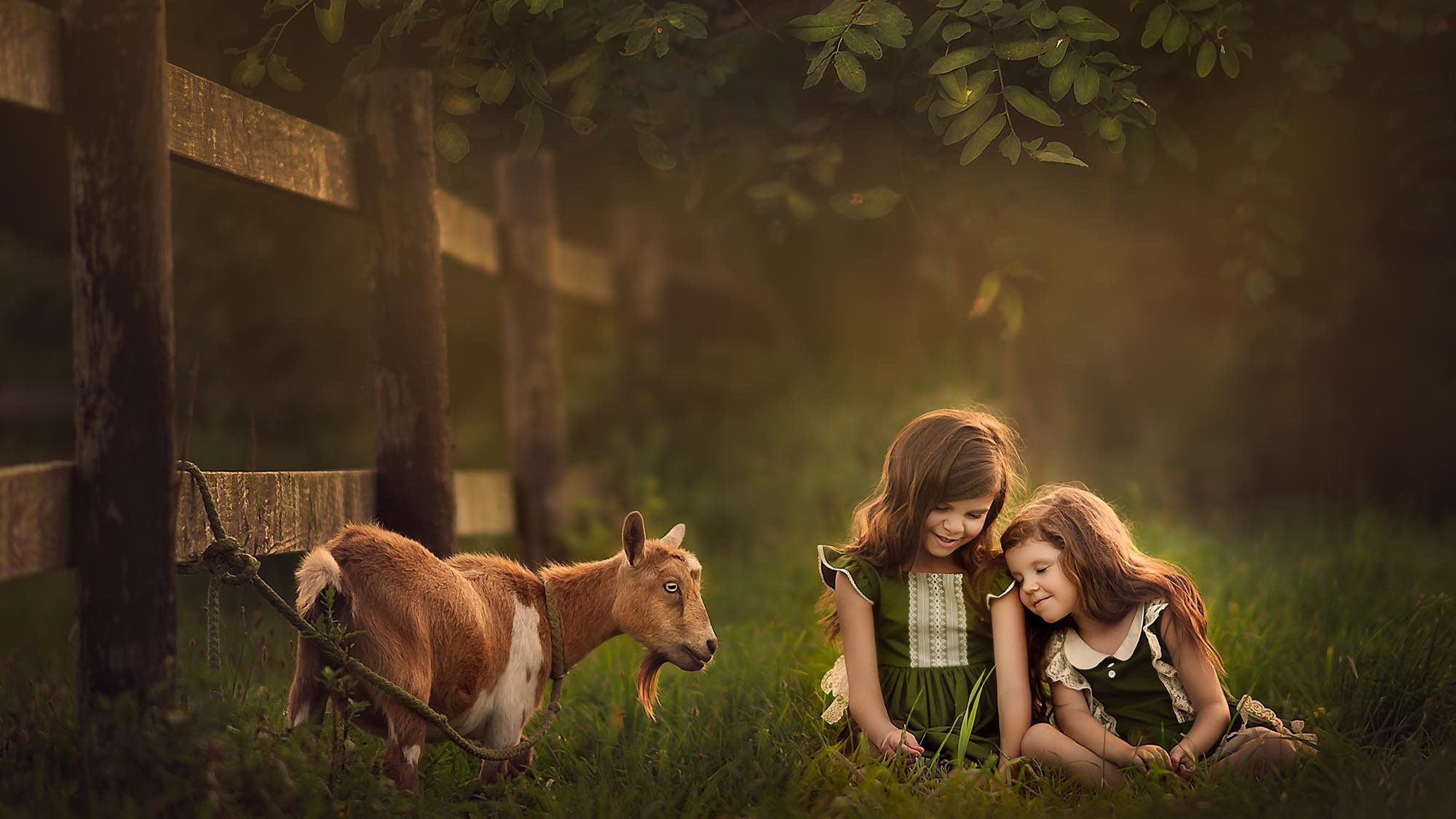 The School Of Photography - Fine Art Family Portraiture with Sujata Setia 3 Never+work+with+children+or+animals+2000px 60