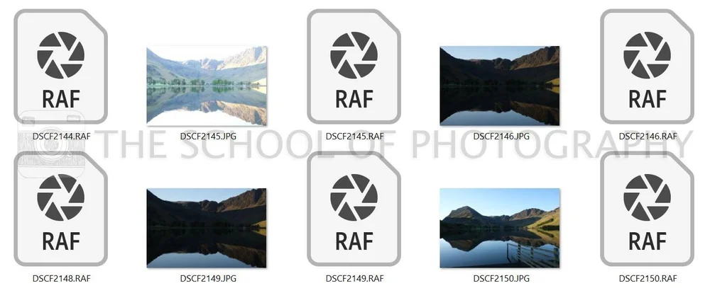 DNG vs RAW – What, Why, and should you convert? — The School of ...