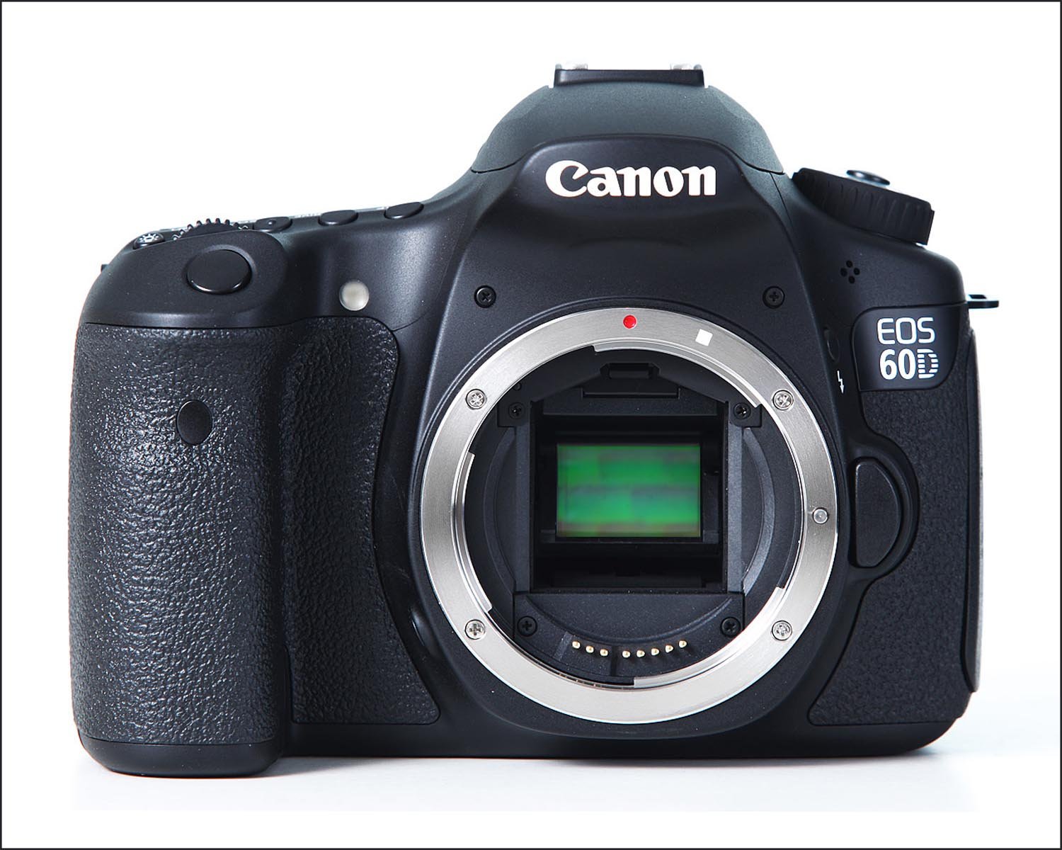 Canon camera showing APS-C sensor