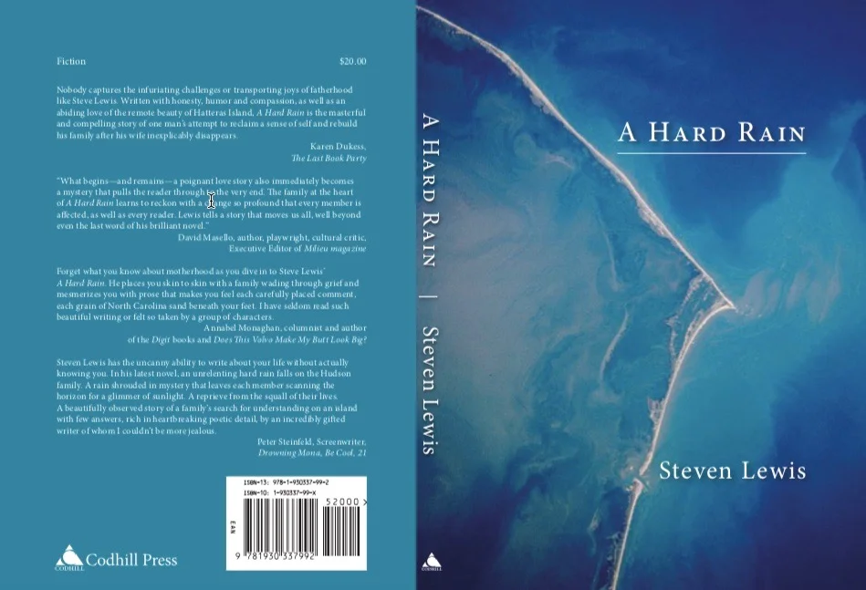 https://hudsonvalleyone.com/2019/01/10/the-lady-vanishes-new-paltz-author-steven-lewis-publishes-a-hard-rain/?fbclid=IwAR3Bsxan9mUs1mr_DXQAvhyoCEpxLHDbmGpona0Amlwk8VO9zRYF2av4RNk