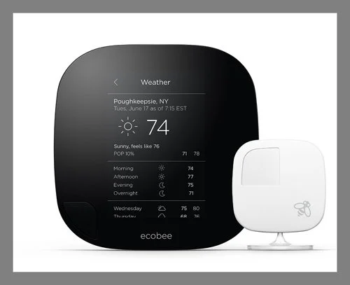 EcoBee.jpg