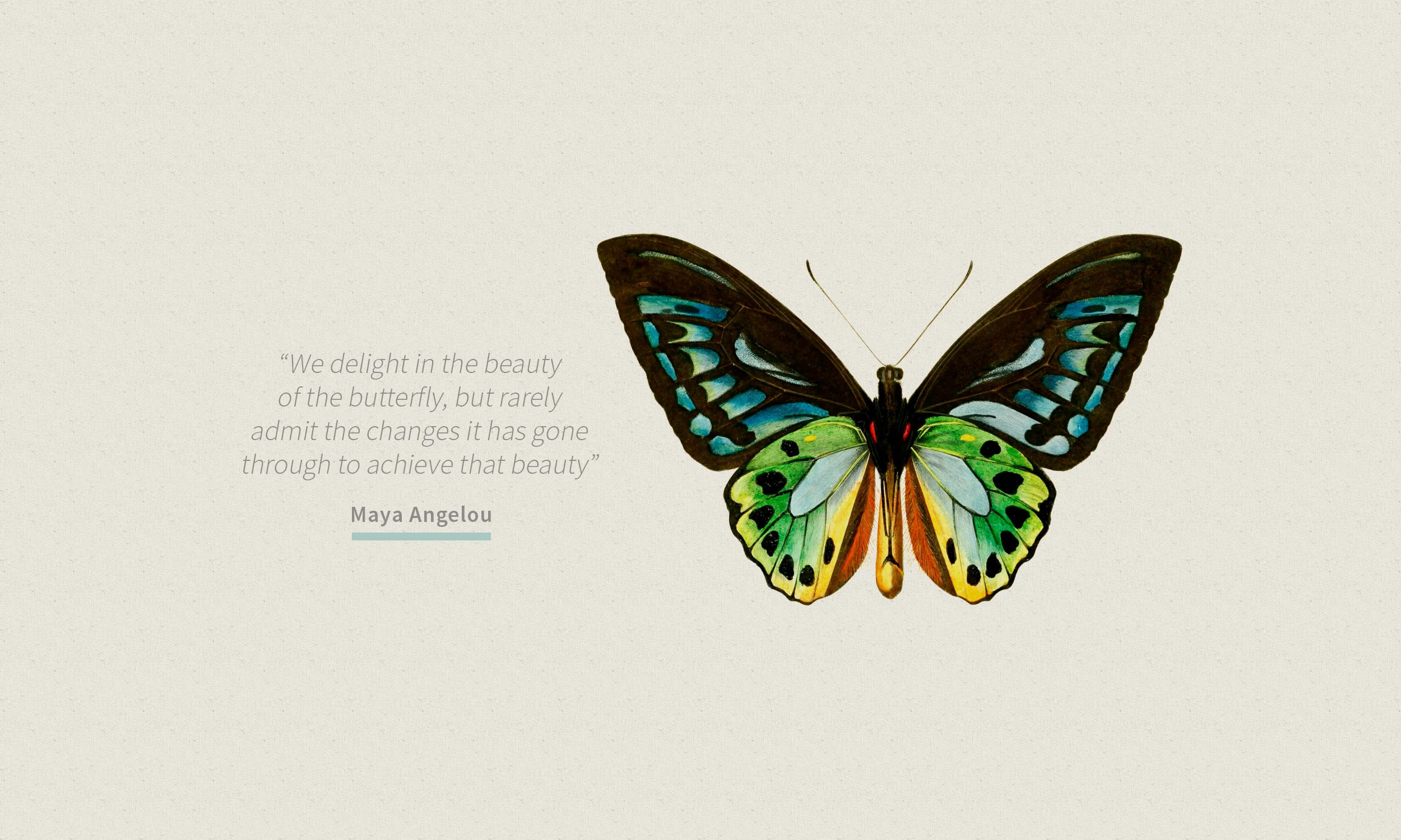 Therapy-Butterfly-quote2.jpg