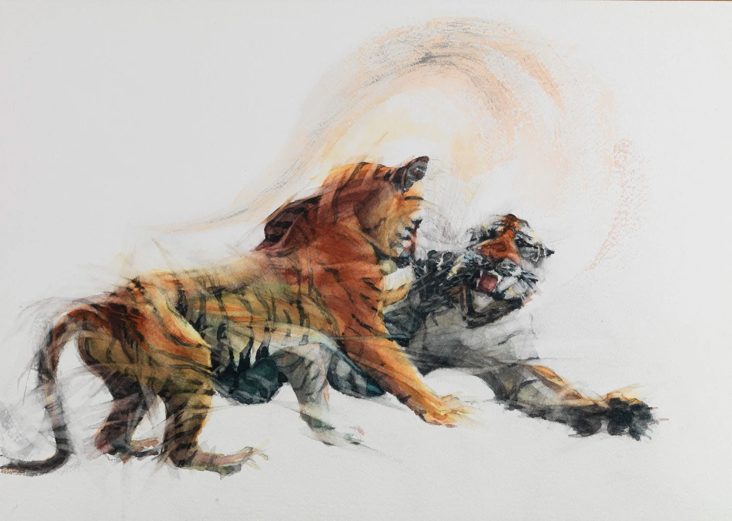 Cat Passion Watercolour (2) | h. 15" w. 21" (h. 38.20cm w. 54.40cm)