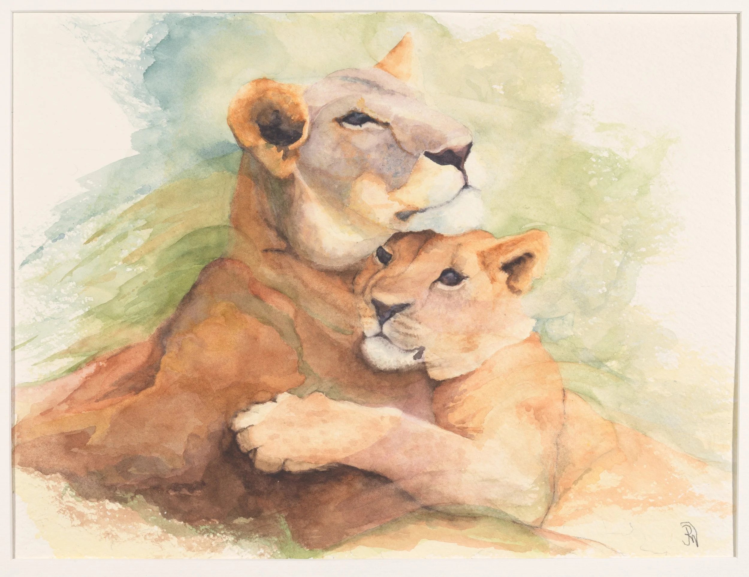 Lioness and her Cub