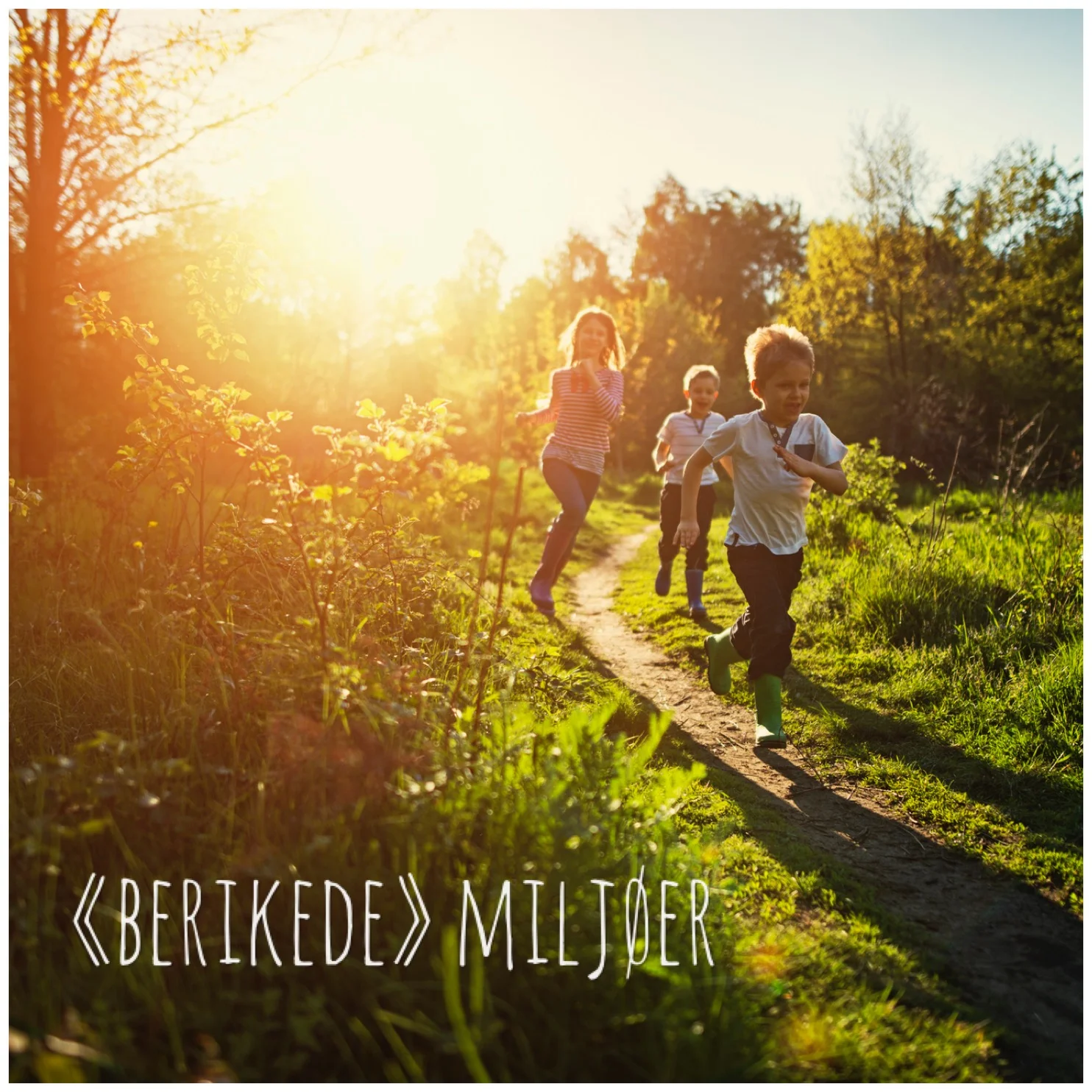 «Berikede» miljøer