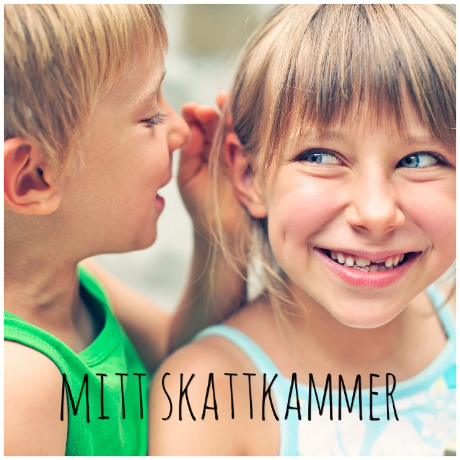 FRA INNSIDEN: Mitt skattkammer