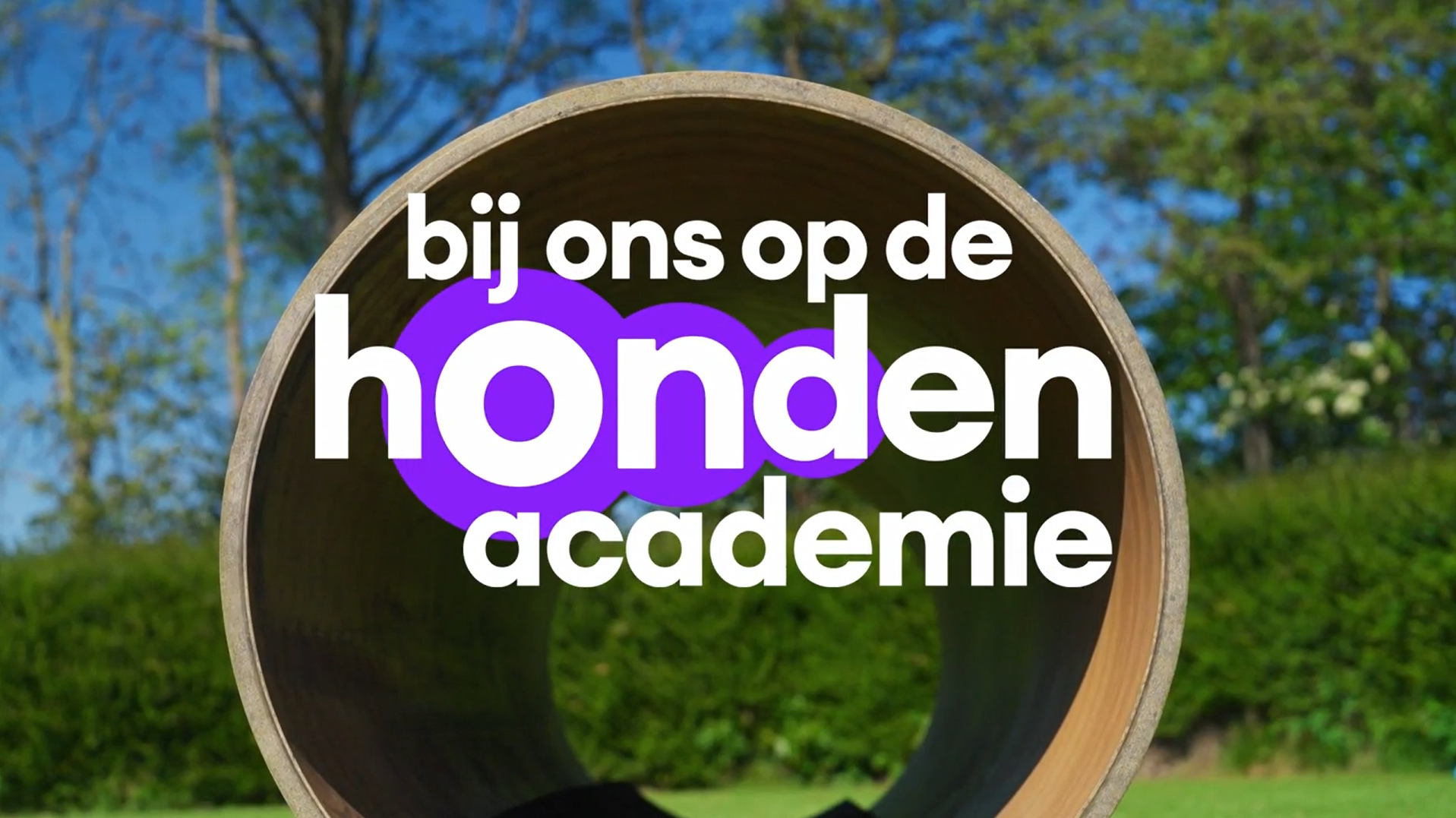 titel afbeelding.png