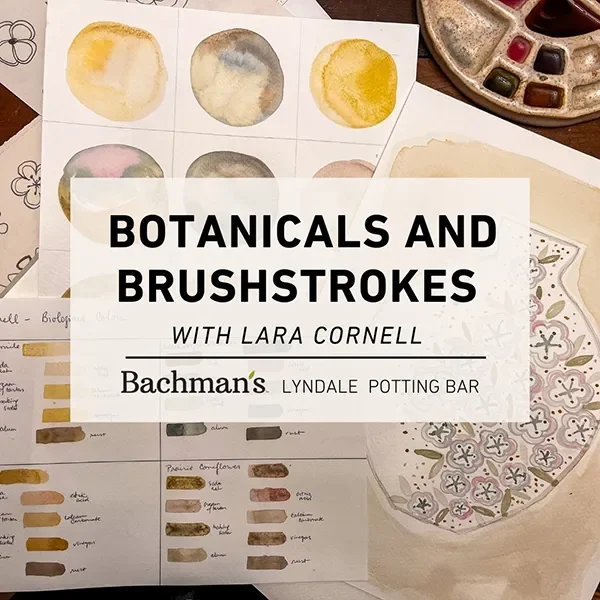 Botanicals and Brushstrokes with Lara Cornell