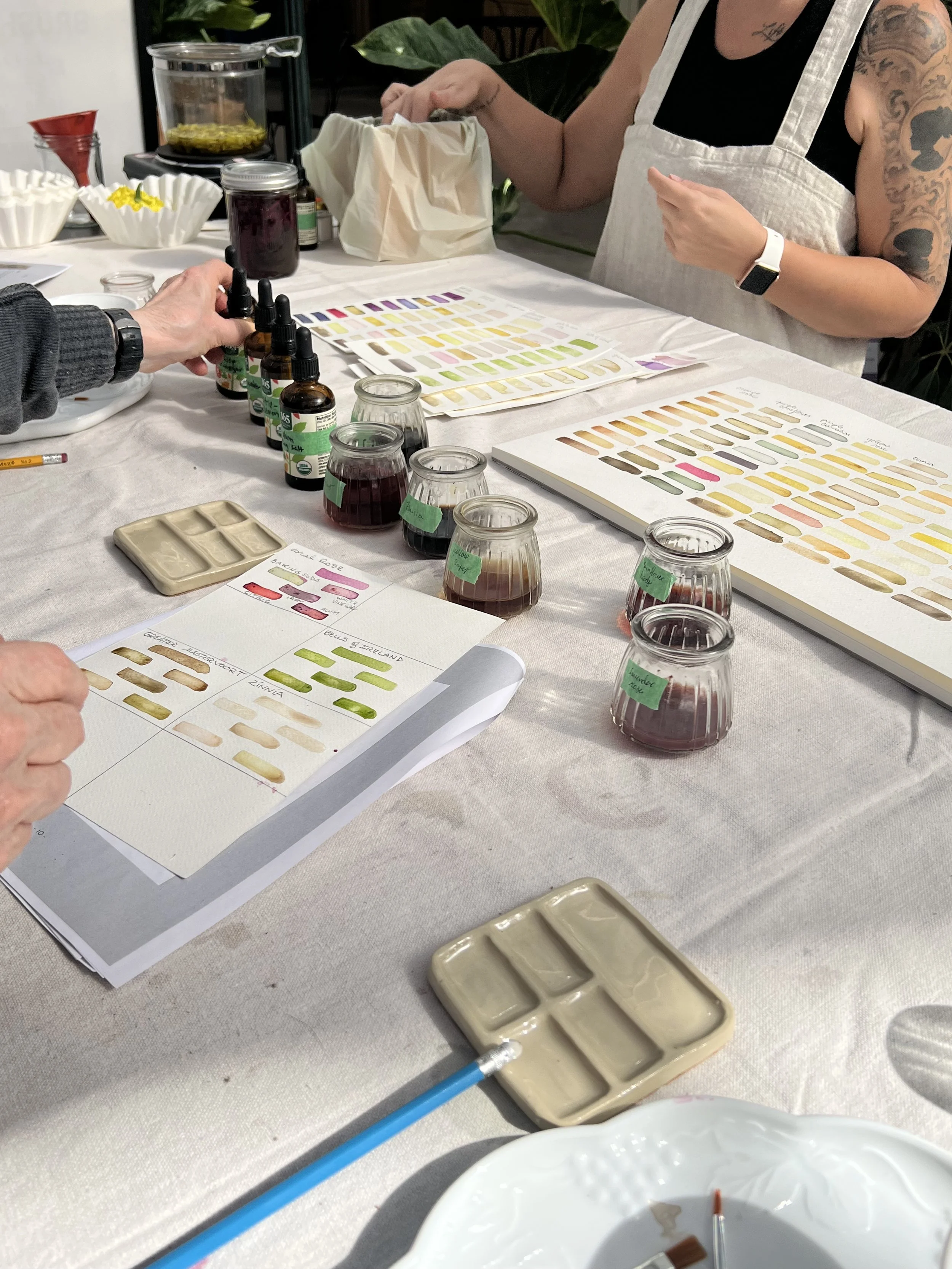 Botanical Brushstrokes with Bachman's