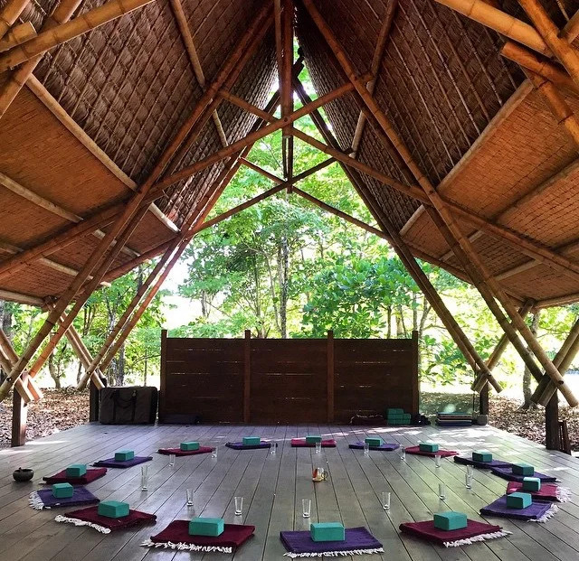 into the list- bucket list trifecta: jungle, surf &amp; yoga