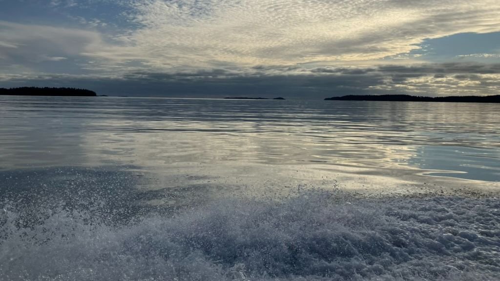 Into the Blue: Our Beds are the Best Places to Begin