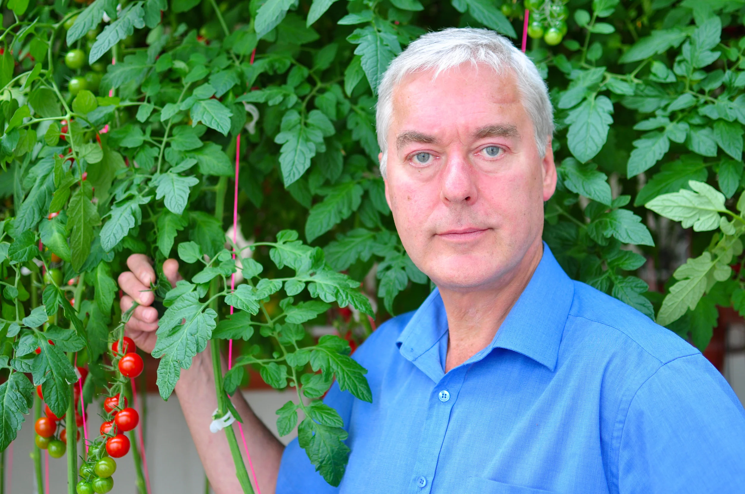 Charlie in greenhouse.jpg