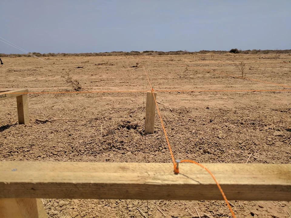 Surveying the Seawater Greenhouse